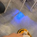 위례게코샵티라노