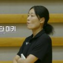 독스 윙스 이미지