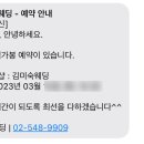 브라이덜미쉘김 이미지