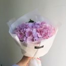 리코플레르