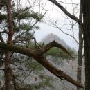 충주호 주봉산 이미지