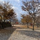 밀리버 | 강원도 인제 계곡 캠핑장 리버백담 A사이트 가을 단풍놀이