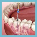 허정치과의원 이미지