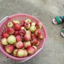 예당초등학교앞 이미지