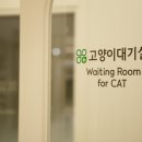 클로버 동물병원 이미지