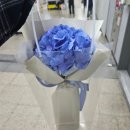 호랭이꽃집 이미지