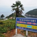 옵타티오펜션 이미지