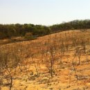 임가농장 이미지