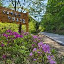 백운산 자연휴양림 야영장 티스토리