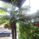 제주옥탑창원봉곡점 이미지