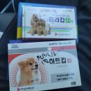연산트레이더스약국 이미지
