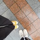 오마이블라디 이미지