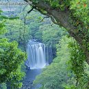 천제연한의원 이미지