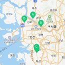 새솔고양지사