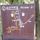 앞산자락길 이미지
