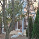 구리(일산) | 일산 대형카페 물구리빵집 내돈내산 후기 (주차, 메뉴, 실내)