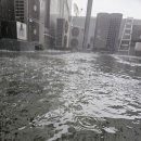 제천시청 이미지