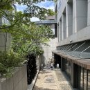 &lt;몽중헌 청담&gt; 룸 후기, 상견례 식당으로 좋은 중식집