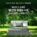 어싱플러스컴퍼니