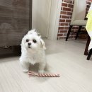 살랑가협동조합 이미지
