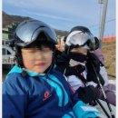 스키 | 홍천 비발디파크 스키강습 미스타스키 예약 후기