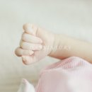 단비 랑