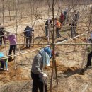 북이면사무소 이미지