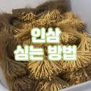 태산농장 1 이미지