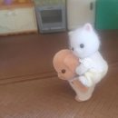전주팜 | W.6 전주 '팜투어' 신혼여행 계약 후기