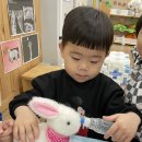 초록애견샵 이미지