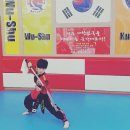 국가대표 우슈 합기도 이미지