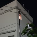 월드황토민박 이미지