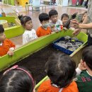 🦋 견학- 벅스리움 🪲 이미지