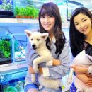 사료할인매장 이미지