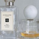 꽃향기 바다내음 | N통 비운 조말론향수 비교 및 후기, 2030대 여자향수 선물추천, 조말론 와일드블루벨, 씨다포딜 가을...