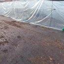 연동2농장 이미지