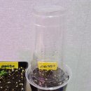 아라사우나 이미지