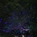 수봉공원 (실내배드민턴장) 이미지