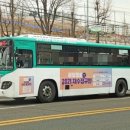 시내버스삼거리 이미지