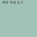이연자 시집 『벼락 꺼내 오기』 이미지