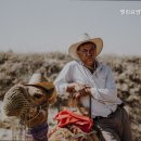 엘림의원 이미지