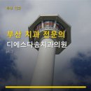 디에스다솜치과의원 네이버블로그