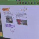 조타 생활과학연구소 | <안쌤의 최상위 줄기과학 중등물리학> 2주차 열팽창 수업후기