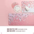 다이소대구안지랑점