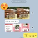 브이티콘 이미지