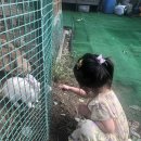 불암산로 이미지