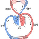 남한산성한의원 이미지