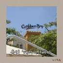 26년 6월 15일 캐리비안베이 & 에버랜드 하이시즌 방문 후기 (반입제한물품, 영업시간, 입장권 가격...