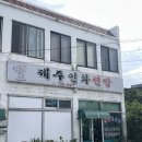 제주인화찐빵 | [제주] 아라찐빵 예약 실패 했을 때 형제 매장 리스트, ‘제주인화찐빵’ 내돈내산 솔직후기