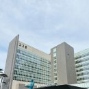 강원도 숙소 추천 롯데리조트 속초 스위트 더블 온돌룸 솔직 후기
